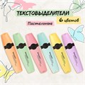 Набор текстовыделителей BRAUBERG 6 шт., АССОРТИ, "DELTA PASTEL", линия 1-5 мм, 151736 151736