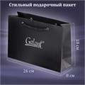 Ручка шариковая GALANT "Black", корпус черный, ежедневник недатированный А5 черный, пакет, 880904 880904
