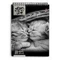 Блокнот А5, 40 л., гребень, ламинированный картон, клетка, Альт, "Кошки", (5 видов), 3-40-462 111287