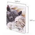 Блокнот МАЛЫЙ ФОРМАТ (110х147 мм), А6, 80 л., твёрдый, клетка, STAFF, "Котики", 114439 114439