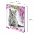 Блокнот МАЛЫЙ ФОРМАТ 110х147 мм, А6, 80 л., твердый, клетка, выборочный лак, BRAUBERG, "Котята", 122192 122192