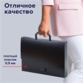 Папка-портфель пластиковая BRAUBERG "Energy" А4 (330х256х32 мм), без отделений, черная, 221202 221202