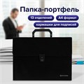 Папка-портфель пластиковая BRAUBERG А4 (332х245х35 мм), 13 отделений, фактура диагональ, черная, 221375 221375
