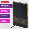 Ежедневник недатированный БОЛЬШОЙ ФОРМАТ 210х297 мм, А4, BRAUBERG "Iguana", под кожу, 160 л., черный,114452 114452