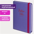 Ежедневник недатированный с резинкой А5 (145х203 мм), BRAUBERG, твердый, 128 л., "Positive Vibes", 114555 114555 - фото 219858 Ежедневник недатированный с резинкой А5 (145х203 мм), BRAUBERG, твердый, 128 л., "Positive Vibes", 114555 114555 - фото 219858