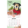 Календарь настенный перекидной на 2025 г., BRAUBERG, 12 листов, 22,5х22,5 см, МИНИ, "Не падай духом", 116178 116178