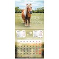 Календарь настенный перекидной на 2025 г., BRAUBERG, 12 листов, 29х29 см, "Детёныши", 116171 116171