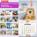 Календарь настенный перекидной на 2025 г., BRAUBERG, 12 листов, 29х29 см, "Не падай духом", 116163 116163