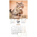 Календарь настенный перекидной на 2025 г., BRAUBERG, 12 листов, 29х29 см, "Смешные котики", 116165 116165