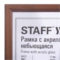 Рамка 21х30 см небьющаяся, КОМПЛЕКТ 3 шт., багет 17 мм МДФ, STAFF "Carven", цвет мокко, 391322 391322