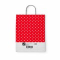 Крафт-пакет бумажный "Горох на красном" 22х12х25 см, с кручеными ручками, 100 г/м2, белый, 112979 700996