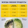 Пакеты для вакуумного упаковщика рифленые 20х30 см, КОМПЛЕКТ 50 шт., SONNEN, максимальный вакуум, 456342 456342
