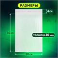 Пакет БОПП с клеевым клапаном, КОМПЛЕКТ 100 шт., 20х30+4 см, толщина 30 мкм, с усиленным швом 608601
