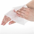 Салфетка влажная антибактериальная в индивидуальной упаковке саше, LAIMA WET WIPE, 13х17 см, 114493 114493