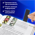 Закладки для книг МАГНИТНЫЕ, "FRUITS", набор 6 шт., 60x20 мм, BRAUBERG, 113160 113160