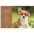 Альбом для рисования А4 40 л., спираль, обложка картон, HATBER, 205х290 мм, "Doggie-Щенки" (4 вида), 067478, 40А4Всп 113081