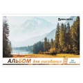 Альбом для рисования А4, 20 л., скоба, обложка картон, BRAUBERG, 200х283 мм, "Природа" (2 вида), 104871 104871