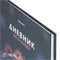 Дневник 1-4 класс 48 л., твердый, BRAUBERG, выборочный лак, с подсказом, "Ежик", 107162 107162