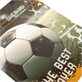 Дневник 1-4 класс 48 л., твердый, ЮНЛАНДИЯ, глянцевая ламинация, с подсказом, "Футбол", 106826 106826