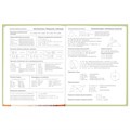 Дневник 5-11 класс 48 л., твердый, BRAUBERG, выборочный лак, с подсказом, "Суровый Кот", 107196 107196