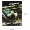 Дневник 1-11 класс 40 л., на скобе, ПИФАГОР, обложка картон, "Футбол", 106817 106817