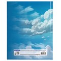 Дневник 1-11 класс 40 л., твердый, BRAUBERG, глянцевая ламинация, "Девушка с драконом", 107167 107167