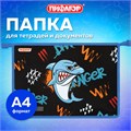Папка для тетрадей ПИФАГОР А4, 1 отделение, картон/пластик, на молнии, "Angry shark", 272129 272129