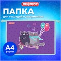 Папка для тетрадей ПИФАГОР А4, 1 отделение, картон/пластик, на молнии, "Bike cats", 272125 272125