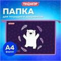 Папка для тетрадей ПИФАГОР А4, 1 отделение, картон/пластик, на молнии, "Happy bear", 272126 272126