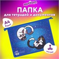 Папка для тетрадей ЮНЛАНДИЯ А4, 1 отделение, картон/пластик, конгрев, на молнии, "Ying Yang", 272132 272132