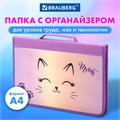 Папка на молнии BRAUBERG А4 с ручкой, с органайзером, 1 отделение, "Cheerful", 271448 271448