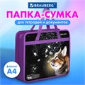 Папка на молнии с ручками BRAUBERG А4, 1 отделение, пластик, 80 мм, "Dream cat", 270868 270868