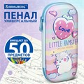Пенал BRAUBERG, 1 отделение, 1 откидная планка, EVA 3D, 22х10х5 см, "Humster", 270702 270702