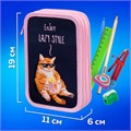 Пенал ПИФАГОР, 3 отделения, ламинированный картон, 19х11 см, "Lazy cat", 272252 272252