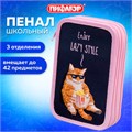 Пенал ПИФАГОР, 3 отделения, ламинированный картон, 19х11 см, "Lazy cat", 272252 272252