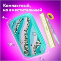 Пенал ЮНЛАНДИЯ, 2 отделения, ламинированный картон, блестки, 19х11 см, "Trendsetter", 271537 271537