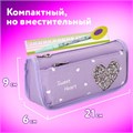 Пенал мягкий ЮНЛАНДИЯ, 2 отделения, полиэстер, "Heart", фиолетовый, 21х6х9 см, 270259 270259