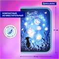 Пенал BRAUBERG с наполнением, 1 отделение, 1 откидная планка, 24 предмета, 21х14 см, "Sweet dreams", 270720 270720