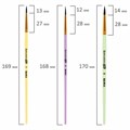 Кисти БЕЛКА набор 6 шт. (круглые № 1, 2, 3, 4, 5, 6), блистер, BRAUBERG KIDS, 201083 201083