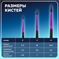 Кисти BRAUBERG PREMIUM, набор 3 шт. (беличьи круглые № 2, 3, 4), блистер, 201020 201020