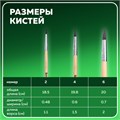 Кисти BRAUBERG, набор 3 шт. (белка, круглые № 2, 4, 6), блистер, 200216 200216