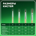 Кисти BRAUBERG, набор 4 шт. (пони, круглые № 2, 3, 4, плоская № 6), блистер, 200221 200221