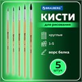 Кисти BRAUBERG, набор 5 шт. (белка, круглые № 1, 2, 3, 4, 5), блистер, 200217 200217