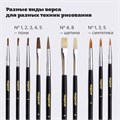 Кисти ПИФАГОР, набор 10 шт. (ПОНИ: плоская № 4, круглые № 1, 2, 3, 5; СИНТЕТИКА: круглые № 1, 3, 5; ЩЕТИНА: плоские № 4, 8), блистер, 200505 200505
