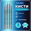Кисти BRAUBERG PREMIUM, набор 5 шт. (синтетика, круглая № 1, 2, 3, 4, 5), блистер, 201025 201025