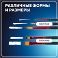 Кисти BRAUBERG PREMIUM, набор 5 шт. (синтетика, круглая № 1, 3, 5, плоская № 5, 8), блистер, 201024 201024