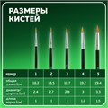 Кисти BRAUBERG, набор 5 шт. (синтетика, круглые № 1, 2, 3, 4, 5), блистер, 200218 200218