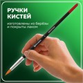 Кисти BRAUBERG, набор 5 шт. (синтетика, круглые № 1, 2, 5, плоские № 5, 8), блистер, 200219 200219