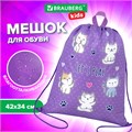 Мешок для обуви BRAUBERG KIDS, с петлей, 42х34 см, "Playing kittens", 272413 272413