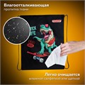 Мешок для обуви ПИФАГОР, 1 отделение, 40х32 см, "T-Rex", 271606 271606